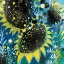 Picture of SUNFLOWER KISSES