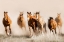 Picture of OUTLAWS