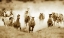 Picture of SAN CRISTOBOL HORSES