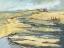 Picture of BIG INDIAN SLOUGH – AUGUST