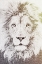 Picture of LION