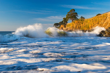 Picture of CAPITOLA CLIFFS AND WAVES