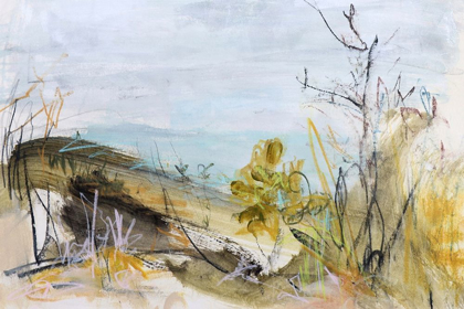 Picture of OVER THE DUNE, CLARKES BEACH