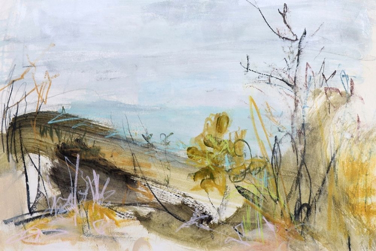 Picture of OVER THE DUNE, CLARKES BEACH