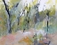 Picture of MELALEUCA CLEARING, LOFTUS