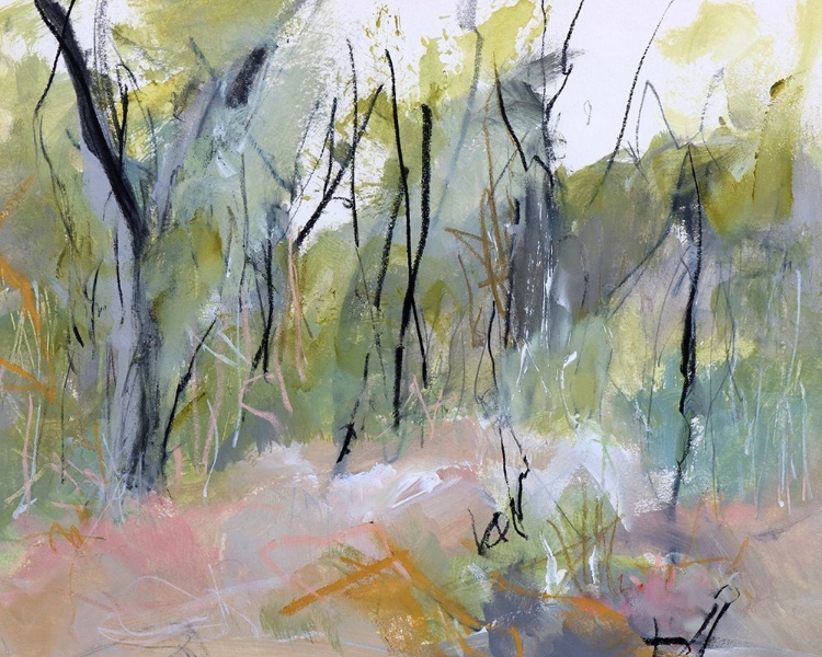 Picture of MELALEUCA CLEARING, LOFTUS