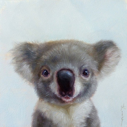 Picture of LIL KOALA