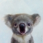 Picture of LIL KOALA