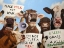 Picture of POLITICAL MOOOOVEMENT