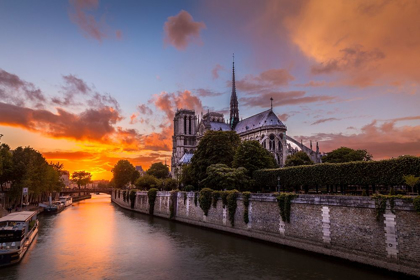 Picture of CATHEDRAL SUNSET