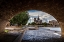 Picture of CHIEN ET NOTRE DAME