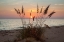 Picture of DAYS END