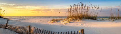 Picture of PENSACOLA BEACH SUNRISE