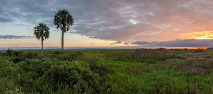 Picture of PRAIRIE SUNRISE