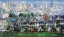 Picture of PAINTED LADIES