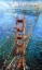 Picture of GOLDEN GATE SUN