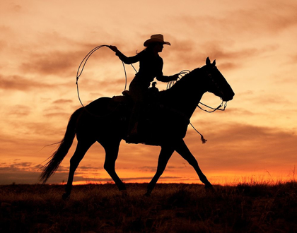 Picture of COWGIRL SILHOUETTE