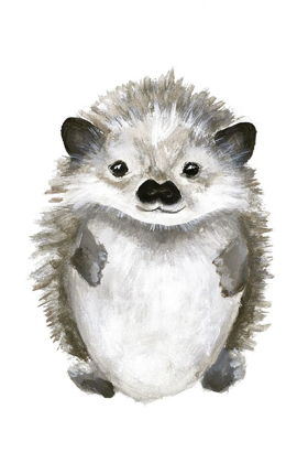 Picture of LITTLE HEDGEHOG