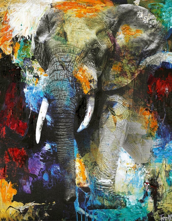 Picture of ELEPHANT