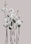 Picture of FLOWER 1