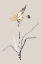 Picture of SUMMER PLANT 1