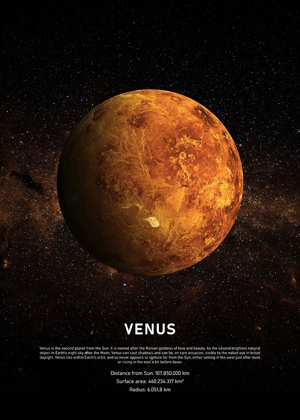 Picture of VENUS