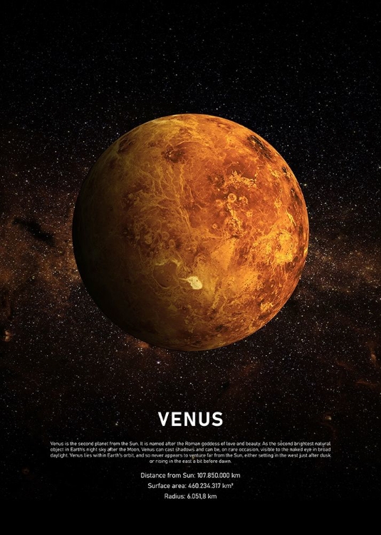 Picture of VENUS