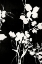 Picture of SILHOUETTE LEAVES 1
