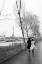 Picture of PARIS IN THE RAIN I LOVE