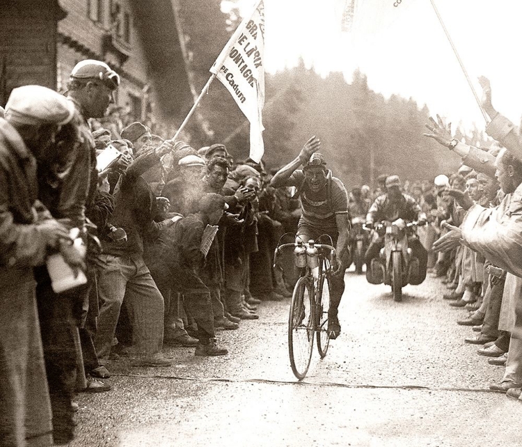 Picture of BARTALI WINS