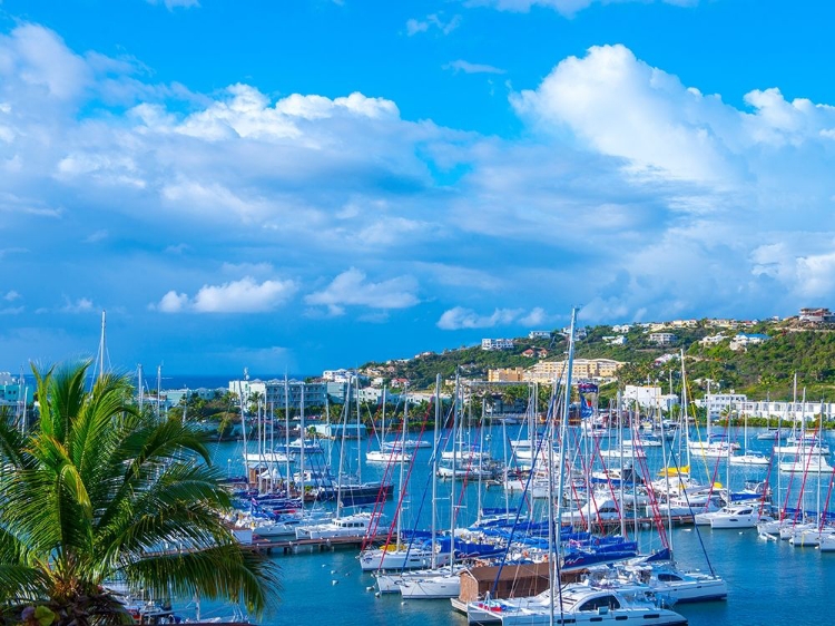 Picture of OYSTER POND BAY, ST. MAARTEN