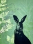 Picture of CHEEKY RABBIT