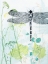 Picture of DRAGONFLY AND THE HEALING PLANT