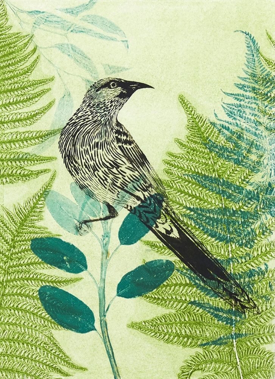 Picture of WATTLEBIRD HIDING IN THE FERNERY