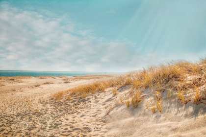 Picture of CHATHAM LIGHTHOUSE BEACH