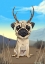 Picture of PUGALOPE