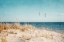 Picture of BEACH AND GULLS