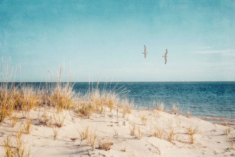 Picture of BEACH AND GULLS