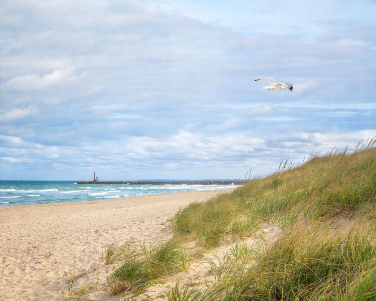 Picture of BEACH AND JETTY