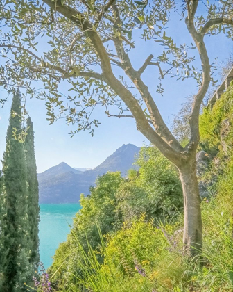 Picture of LAGO DI COMO VIEW NO. 2