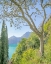 Picture of LAGO DI COMO VIEW NO. 2