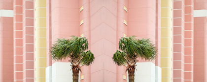 Picture of TWO PALMS