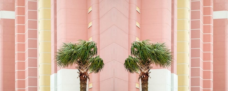 Picture of TWO PALMS