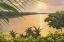 Picture of WONDER OF THE TROPICS