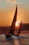 Picture of RED SAILS