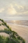 Picture of MORNING TIDE