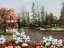 Picture of LAKESIDE VIEW
