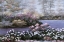 Picture of STILL WATERS