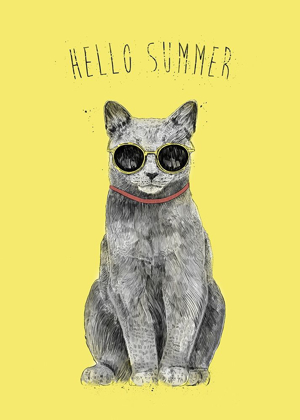 Picture of HELLO SUMMER