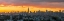 Picture of MANHATTAN SKYLINE FROM BROOKLYN